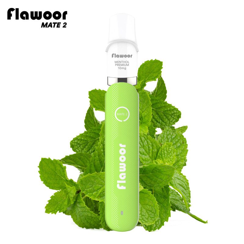 flawoor-mate-2-kit-menthol-premium